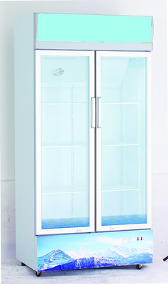 Congélateur de réfrigérateur commercial de grande porte à deux battants manuelle R134a/125g, 430 L