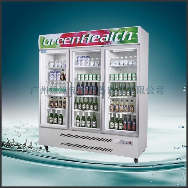 D'acier inoxydable portes commerciales du compresseur -25°C 3 de Tecumseh de congélateur d'affichage tout droit